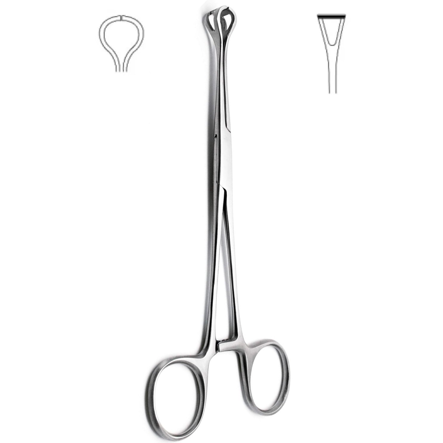 Babcock Tissue Forceps Long Serrated, 16cm