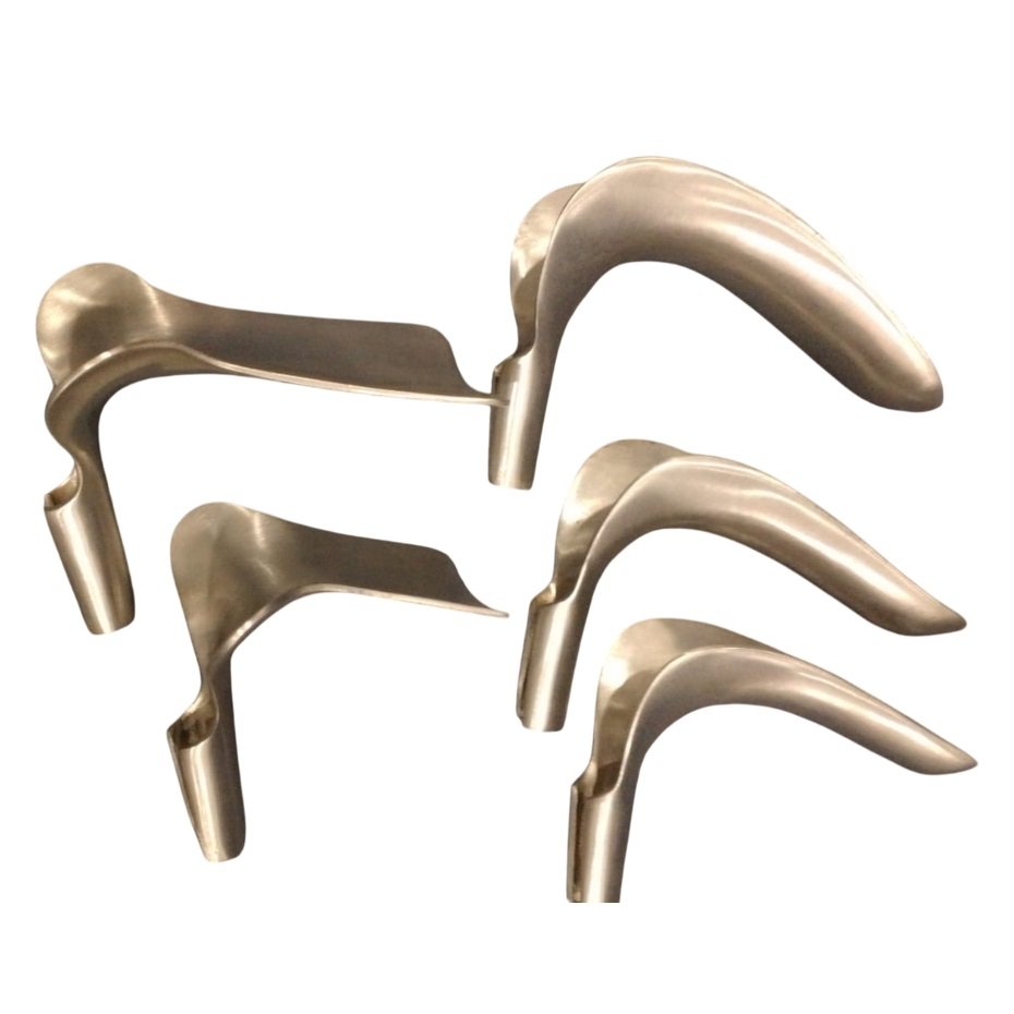 König Scherbak Weight Vaginal Speculum Set of 5