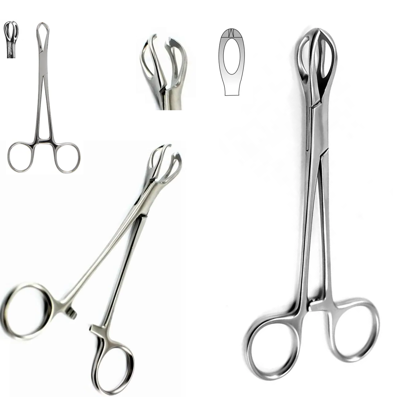 Lane Tissue Forceps Blunt Jaws, 15cm