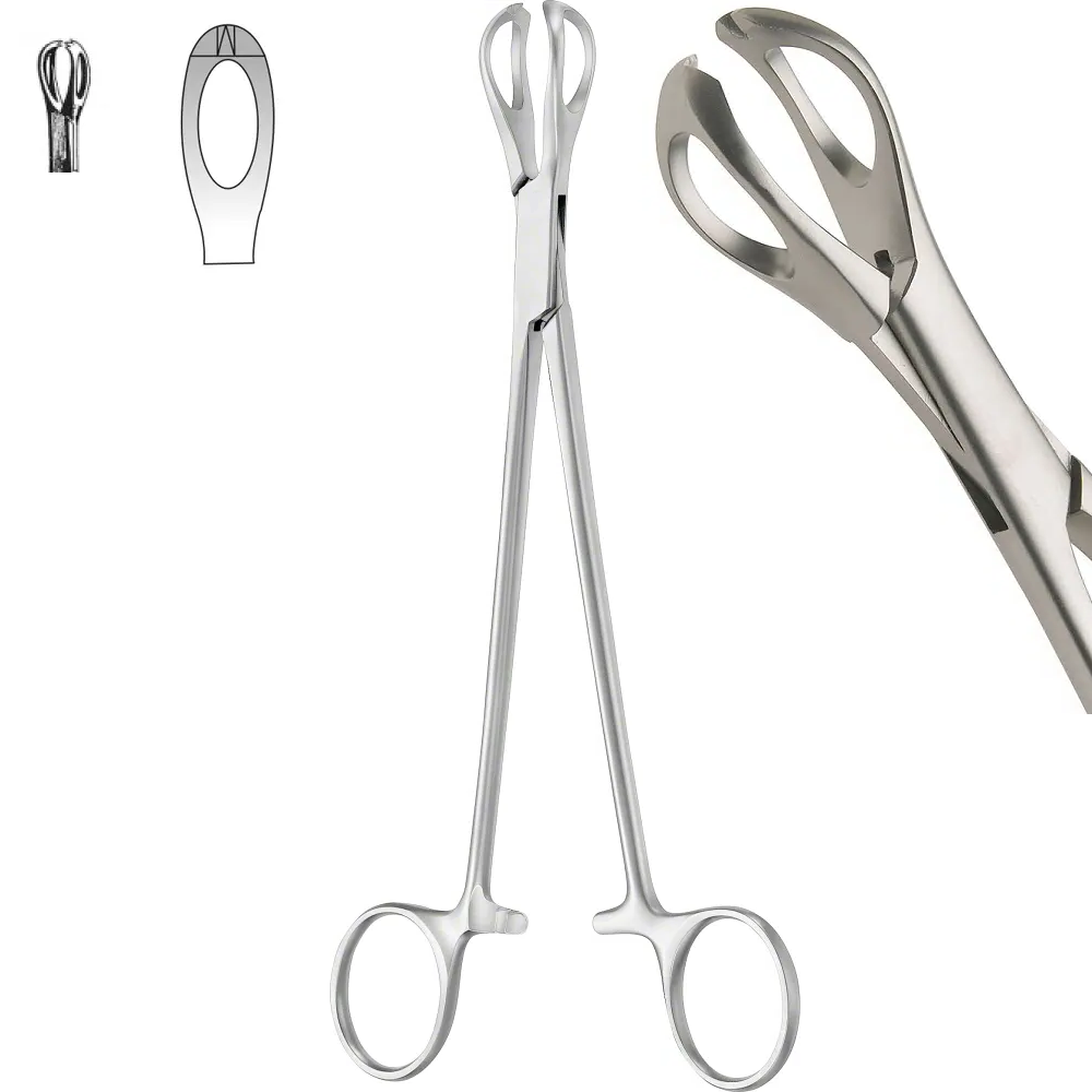 Lane Tissue Forceps Blunt Jaws, 19cm
