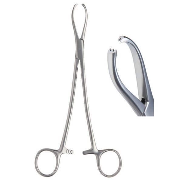 Littlewood Tissue (Moynihans) Forceps, 2X3 Teeth, 19cm