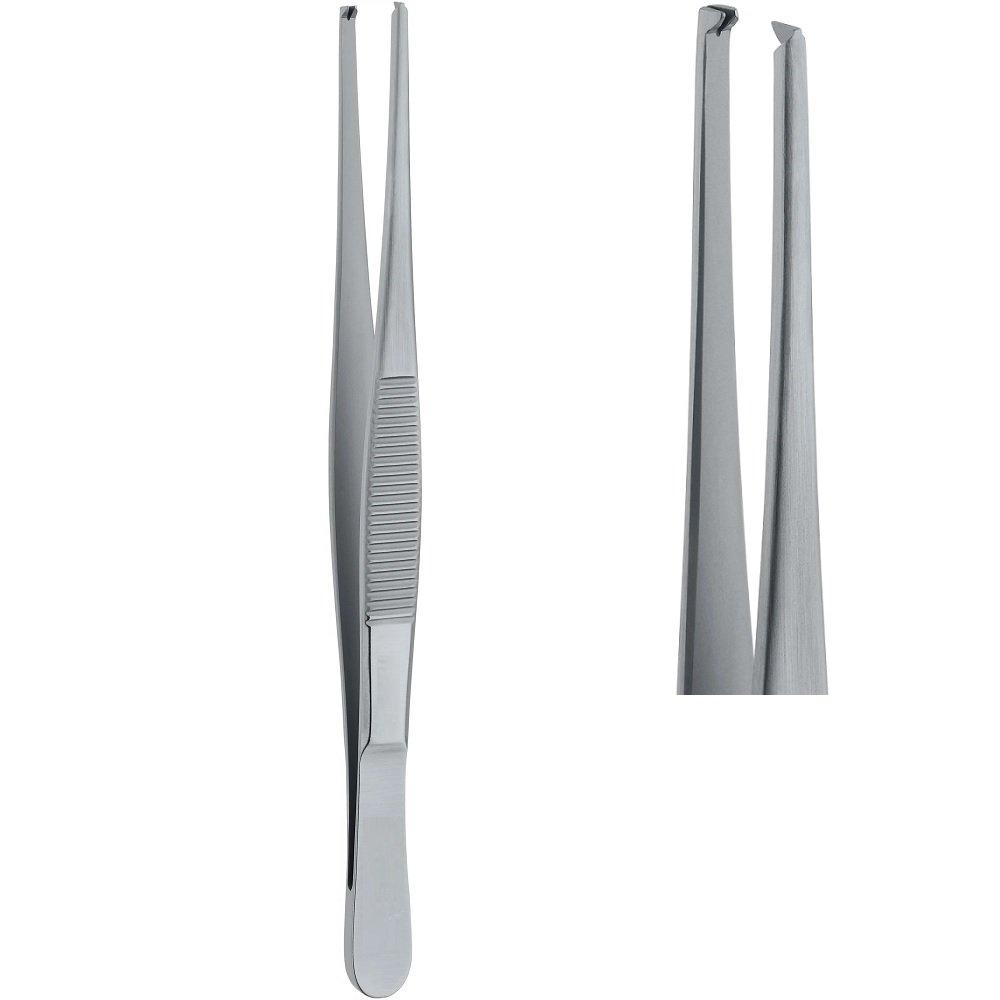 Standard Tissue Forceps, 1x2 Teeth, 18cm