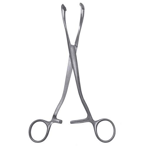 Young Lobe Holding Forceps, 20cm