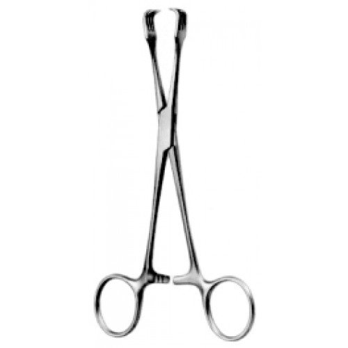 Braun Organ and Tissue Grasping Forceps 16cm