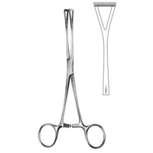 Duval Grasp Forceps 13mm, 23cm