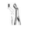 Extracting Forceps (American Pattern)