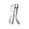 Extracting Forceps (American Pattern)