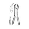 Extracting Forceps (American Pattern)