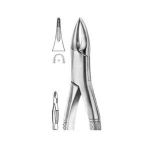 Extracting Forceps (American Pattern)