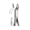 Extracting Forceps (American Pattern)