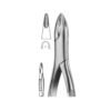 Extracting Forceps (American Pattern)