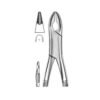 Extracting Forceps (American Pattern)