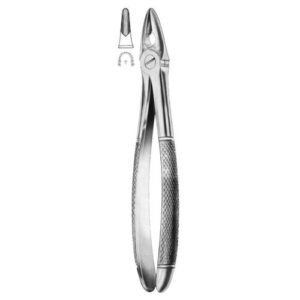 Extracting Forceps English Pattern MD1