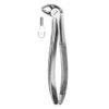 Extracting Forceps English Pattern No 13S