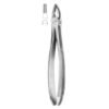 Extracting Forceps English Pattern No 1