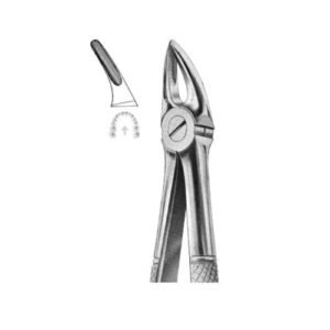 Extracting Forceps English Pattern No 30