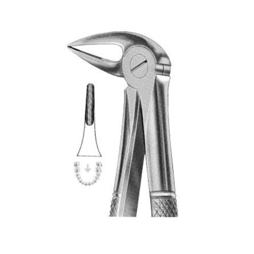Extracting Forceps English Pattern No 33L