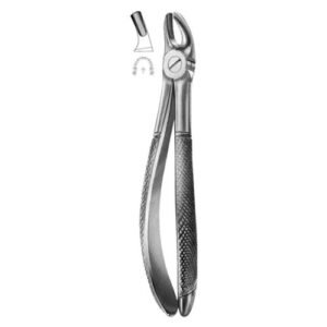 Extracting Forceps English Pattern No 39L