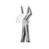 Extracting Forceps English Pattern No 51A