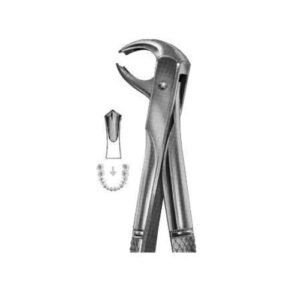 Extracting Forceps English Pattern No 73B