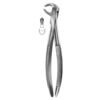 Extracting Forceps English Pattern No 73K