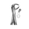 Extracting Forceps English Pattern No 73R