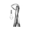 Extracting Forceps English Pattern No 81