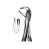 Extracting Forceps English Pattern No 99 1/2