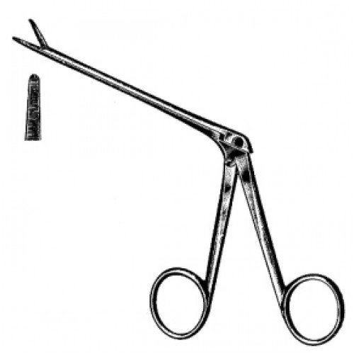 Noyes Alligator Forceps 14.5cm