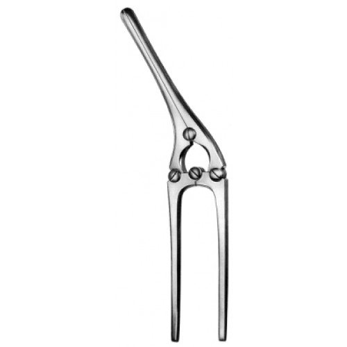 Payr Intestinal Crushing Clamp with pin 21cm