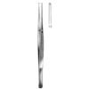 Taylor Tissue Forceps Straight, 1x2 Teeth, with Chisel end, 17cm