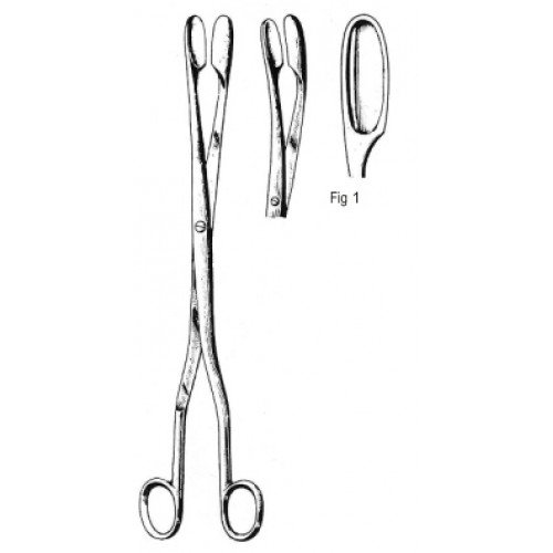 Winter Placenta and Ovum Forceps Straight Fig.1, 28cm
