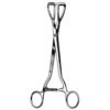 Young Lobe Holding Forceps, 20cm